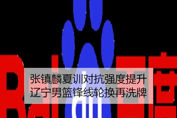 张镇麟夏训对抗强度提升 辽宁男篮锋线轮换再洗牌