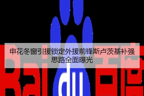 申花冬窗引援锁定外援前锋斯卢茨基补强思路全面曝光
